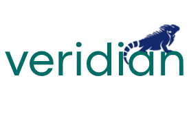 Veridian Technology Group